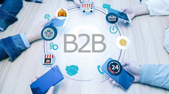 B2B电商APP软件开发需要多少钱